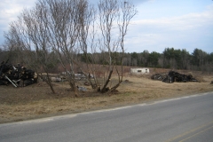 IMG_1-1