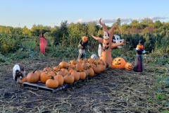 Pumpkin-Patch-1