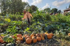 Pumpkin-Patch-7